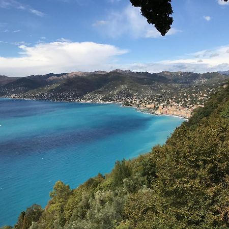 Villa Cielomare Camogli Bagian luar foto