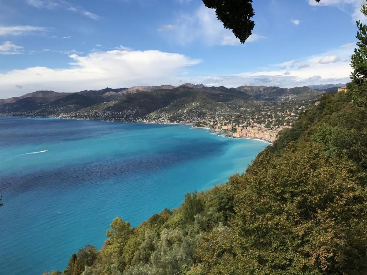 Villa Cielomare Camogli Bagian luar foto