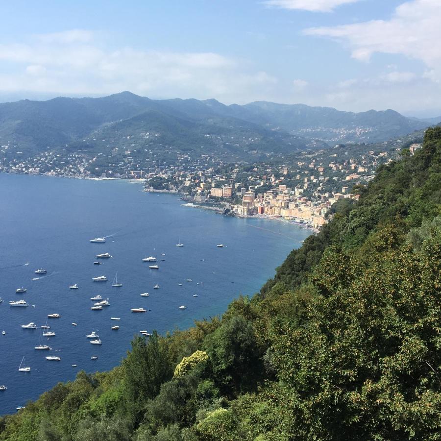 Villa Cielomare Camogli Bagian luar foto