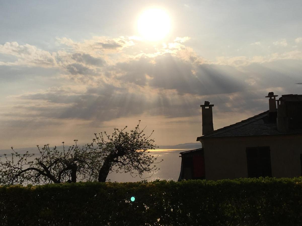 Villa Cielomare Camogli Bagian luar foto