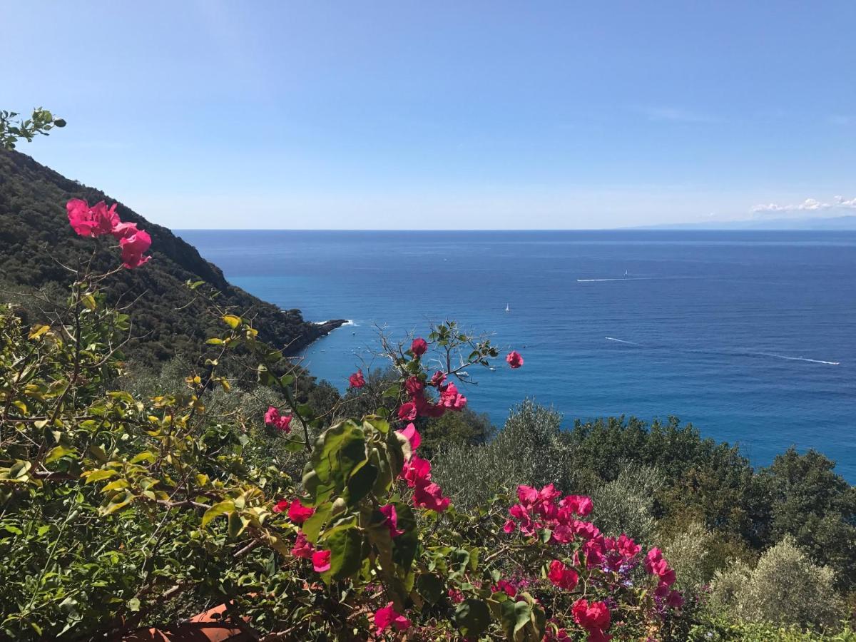 Villa Cielomare Camogli Bagian luar foto