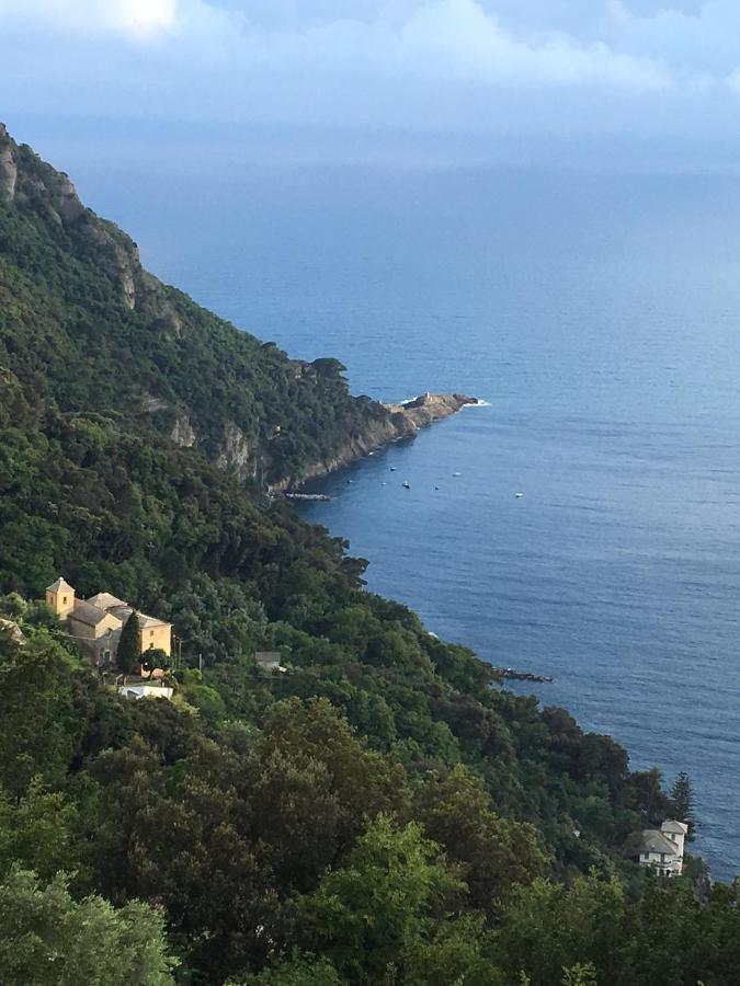 Villa Cielomare Camogli Bagian luar foto