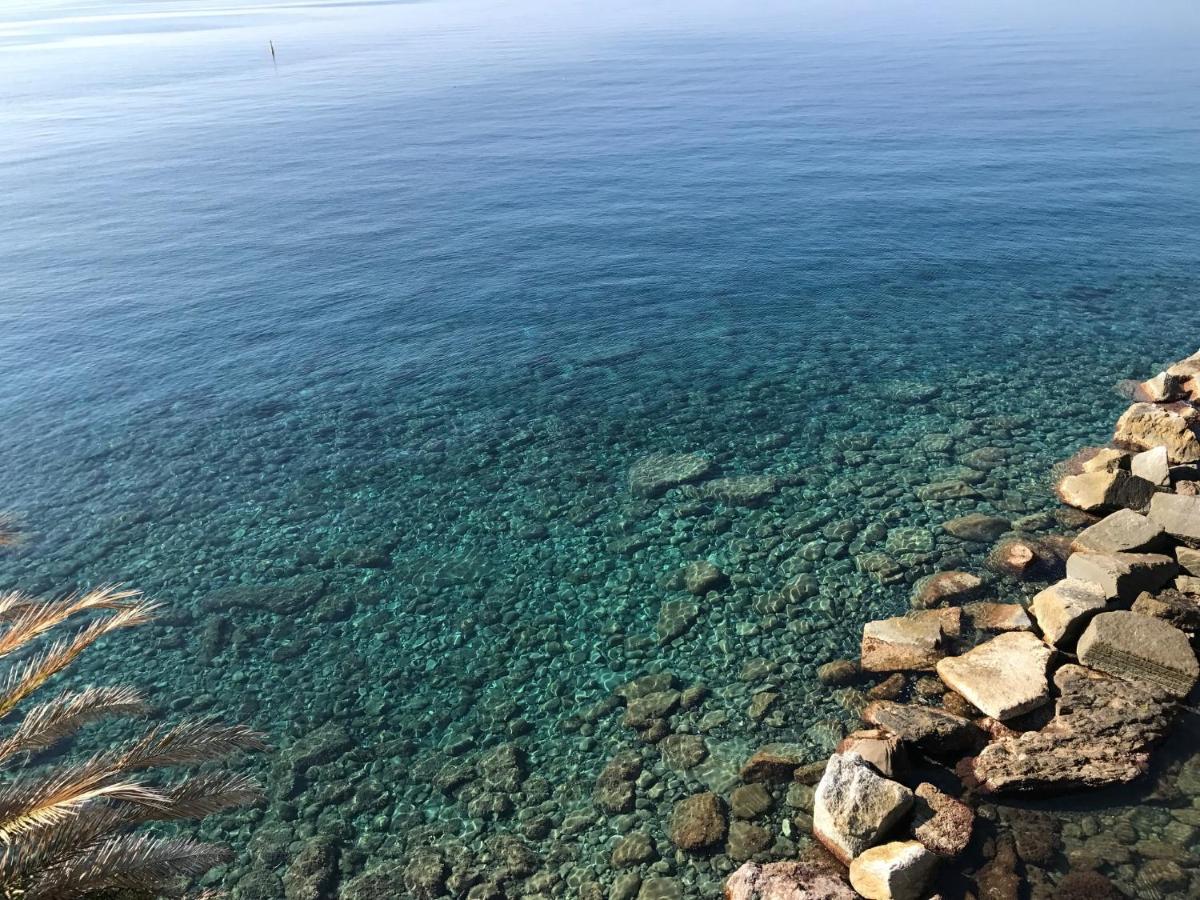 Villa Cielomare Camogli Bagian luar foto