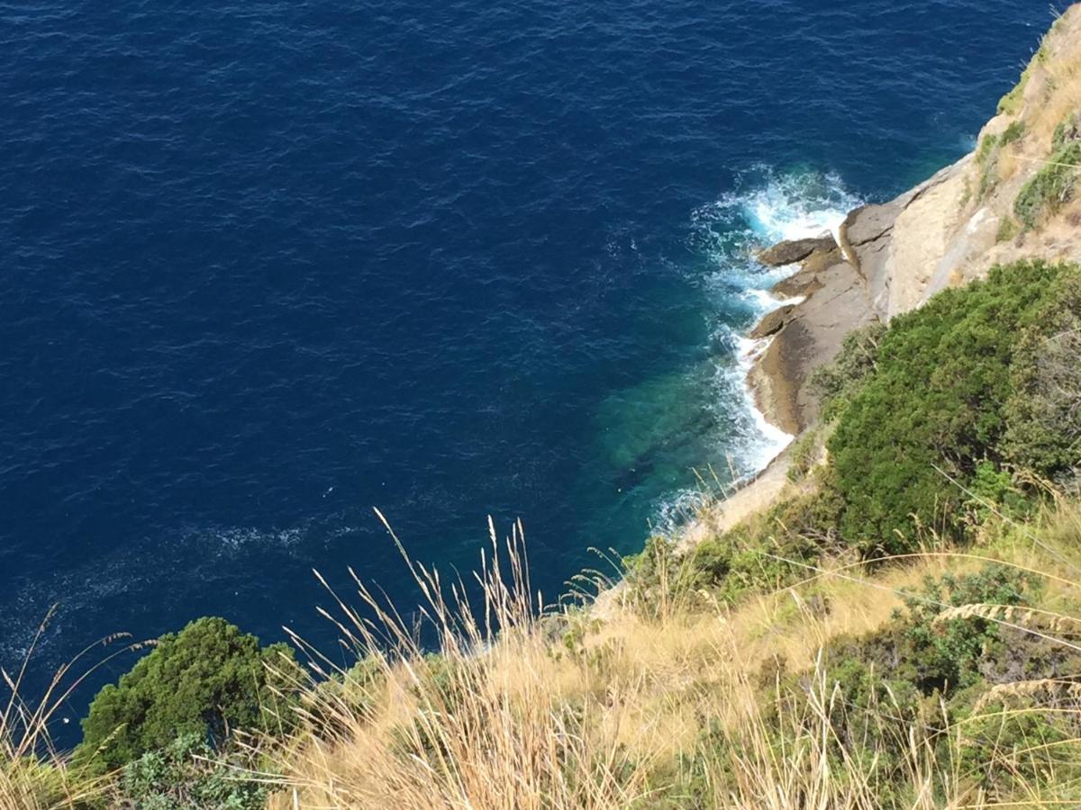 Villa Cielomare Camogli Bagian luar foto