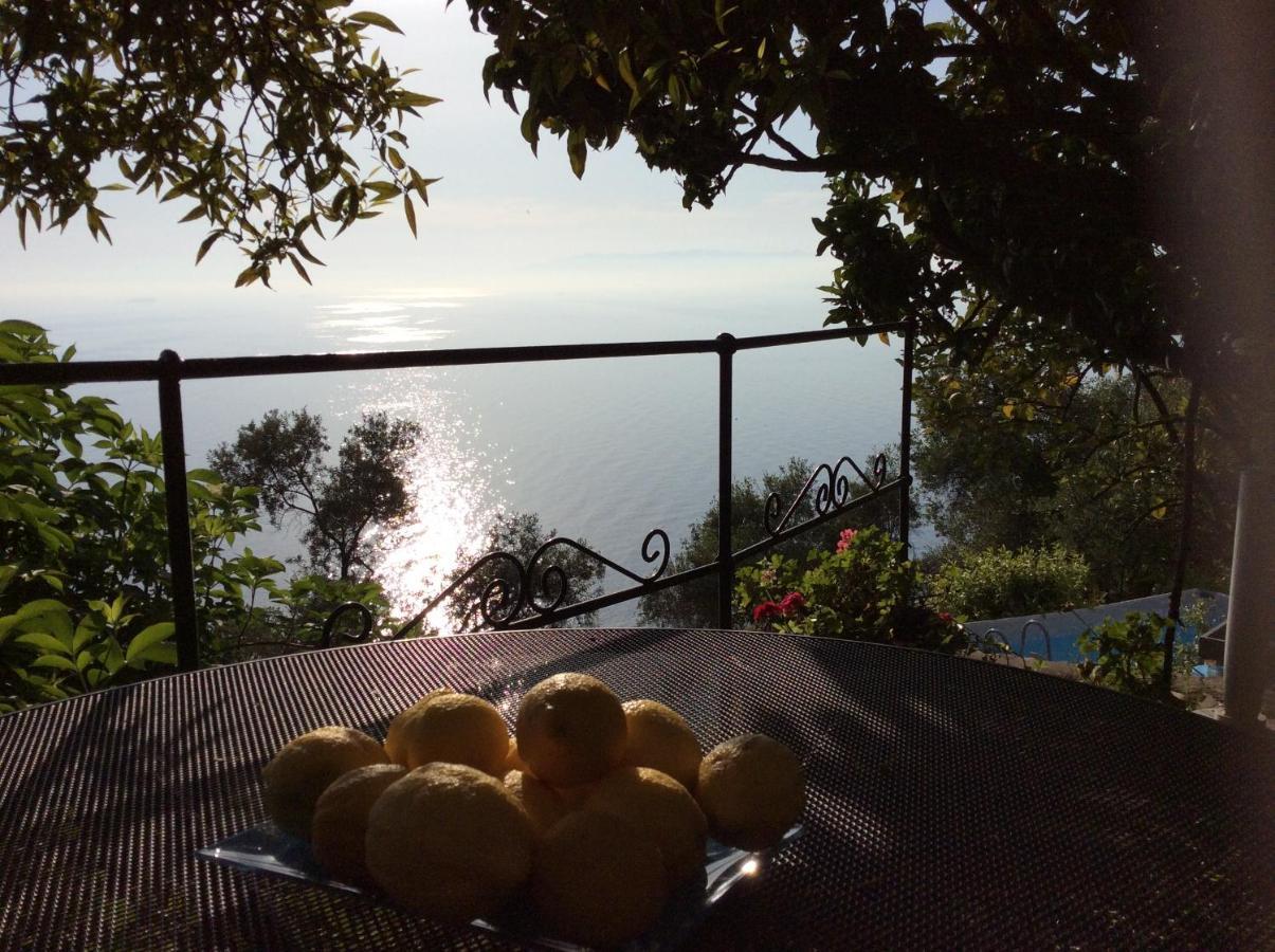 Villa Cielomare Camogli Bagian luar foto