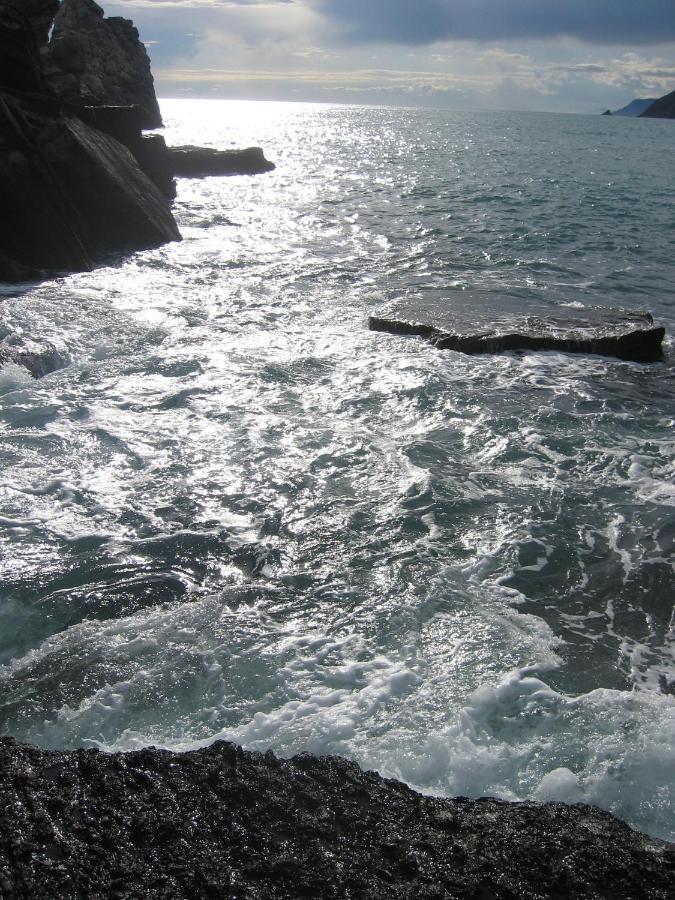 Villa Cielomare Camogli Bagian luar foto