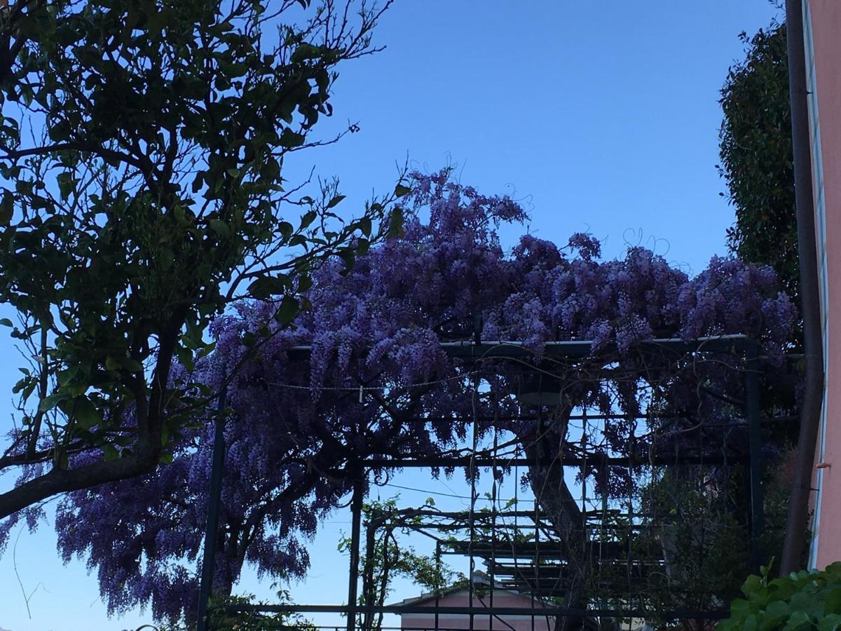 Villa Cielomare Camogli Bagian luar foto