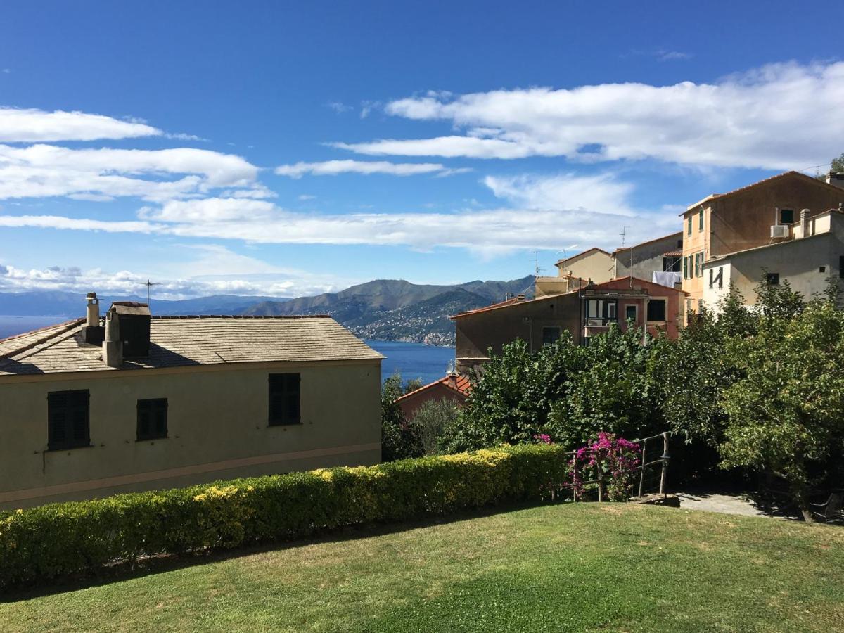 Villa Cielomare Camogli Bagian luar foto