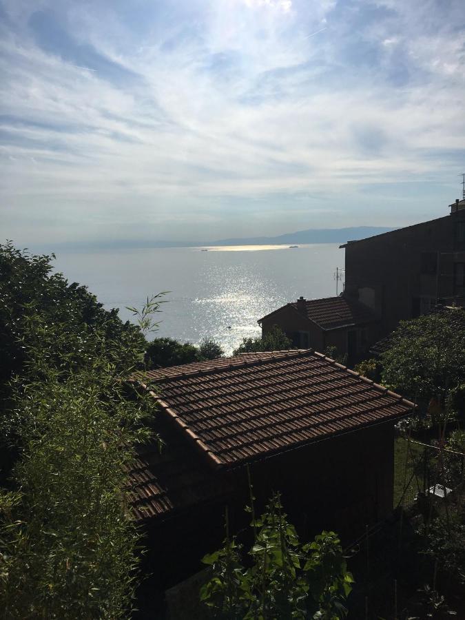 Villa Cielomare Camogli Bagian luar foto